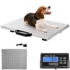 Thép không gỉ với chỉ số ngựa dê thú cưng lợn Đường vật